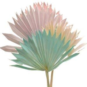 Palm Tree Leaves | Dried Flower Supplies